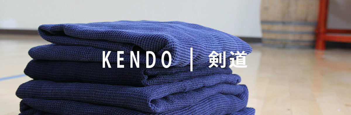 Kendo for kids/junior